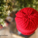 Find this easy and free crochet pattern at SaltyPearlCrochet.com!