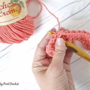 Locked Loop Ends Archives • Salty Pearl Crochet